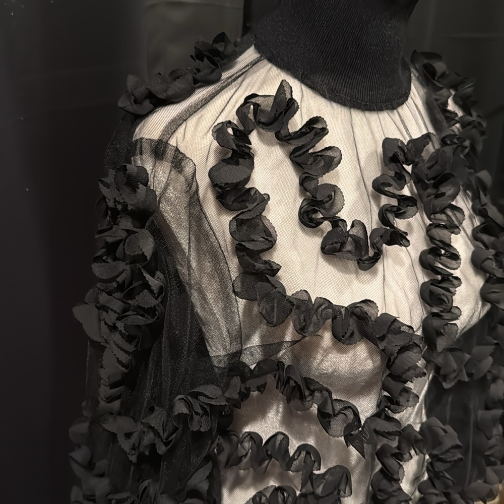 Ruffle, see-through blouse - Picture 2 of 4
